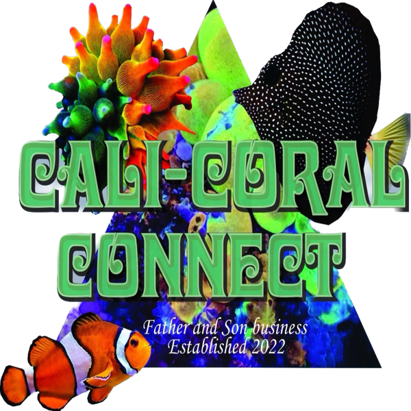 Cali Coral Connect